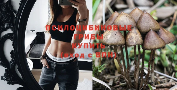 a pvp Козельск