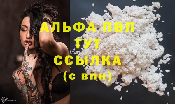 крисы Кодинск