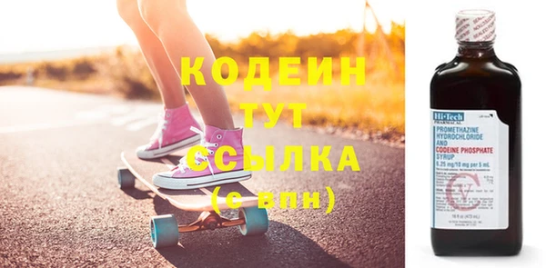 крисы Кодинск