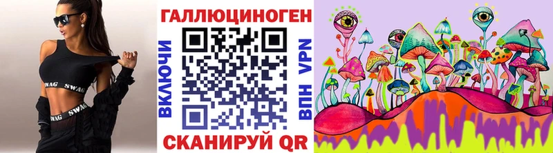 Купить закладки  Светлогорск  Галлюциногенные грибы GOLDEN TEACHER 